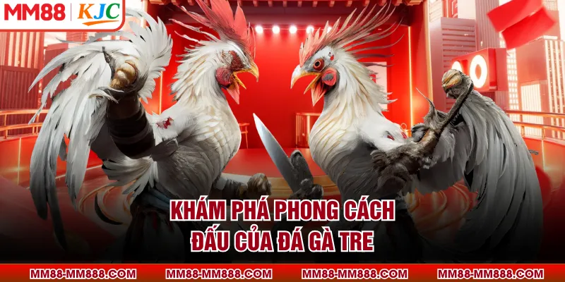 Khám phá phong cách đấu của đá gà tre